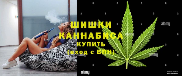 гидра Балахна