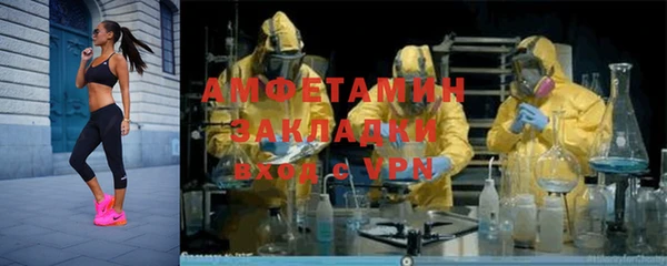 прущие грибы Балабаново