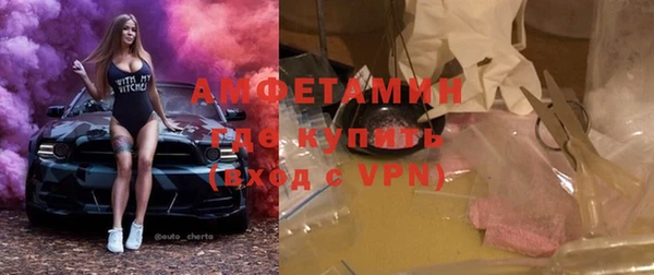 прущие грибы Балабаново