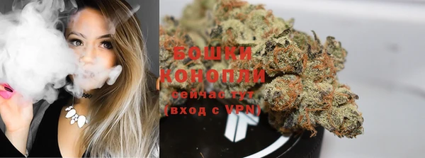 прущие грибы Балабаново