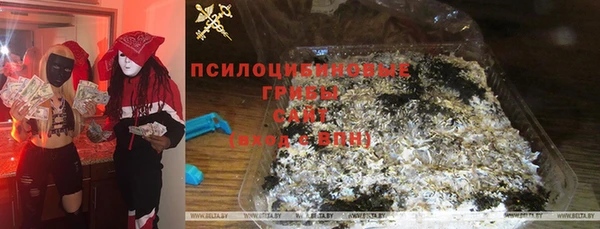 гидра Балахна