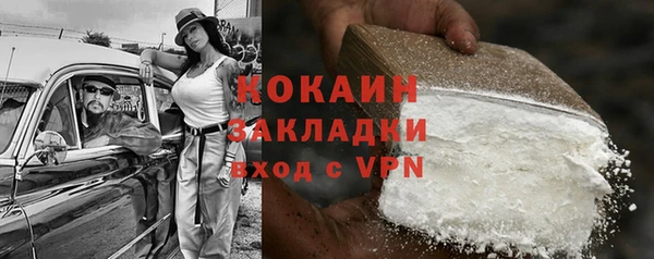 прущие грибы Балабаново