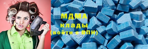 прущие грибы Балабаново