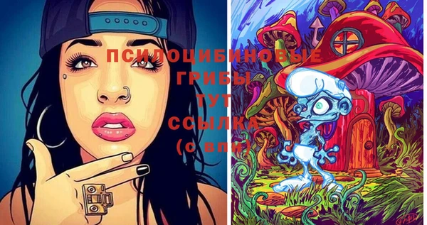 герыч Сафоново