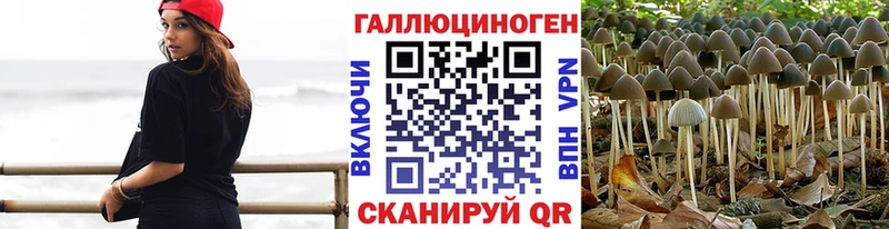 Галлюциногенные грибы Psilocybe  Купино 