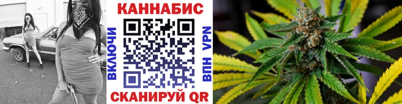 Бошки Шишки гибрид  Купино 